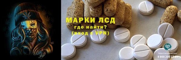 ГАЛЛЮЦИНОГЕННЫЕ ГРИБЫ Кукмор