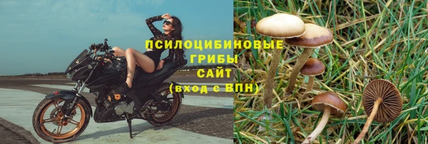ГАЛЛЮЦИНОГЕННЫЕ ГРИБЫ Кукмор