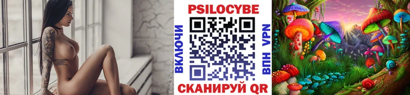 Галлюциногенные грибы ЛСД сколько стоит Цивильск